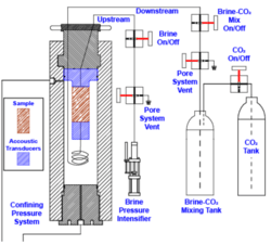 Weger_CarbonStorage_1_