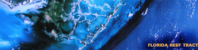 Contact_banner