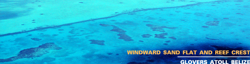 Newsletter_banner
